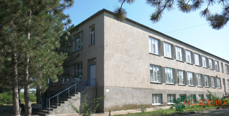 Активисты сделали экстренный ремонт школы в селе Украинка