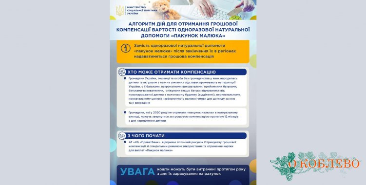 Монетизация «Пакета малыша»: украинцы могут получить натуральную помощь в денежном эквиваленте