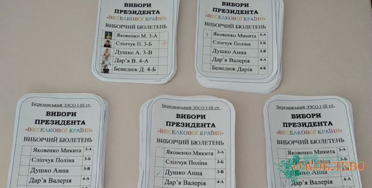 В Березанской школе прошли выборы президента детского объединения (фото)