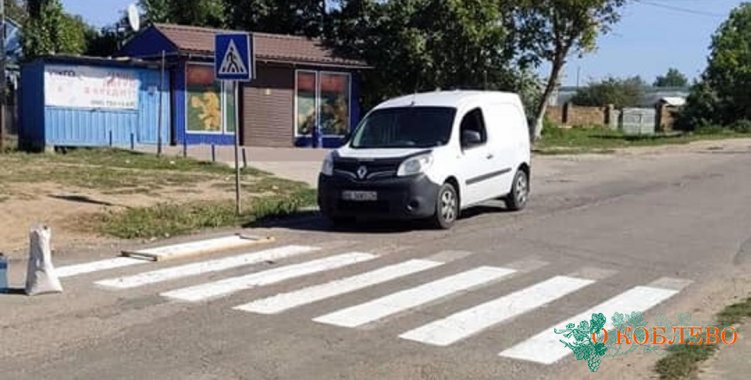 Общественники нанесли дорожную разметку «зебра» в Коблево (фото)
