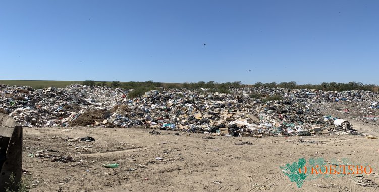 Как мусорная свалка в Луговом влияет на экологию села