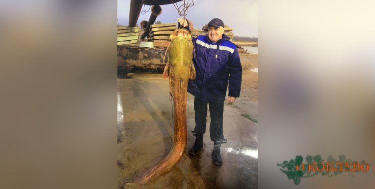 Рыбак из Николаевской области выловил 129 килограммового сома