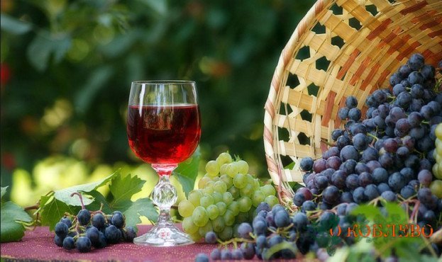 В Украине вдвое увеличат господдержку виноградарства и виноделия