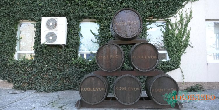 Винодельня KOBLEVO — важное предприятие Коблевской ОТГ
