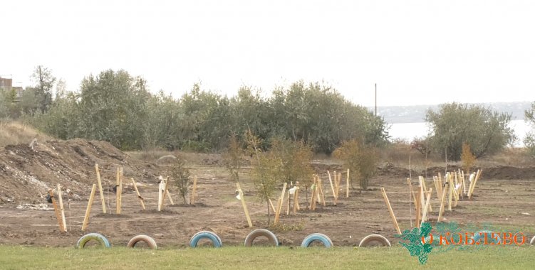 Общественники приобрели столбы и сетку для парка в Виноградном (фото)