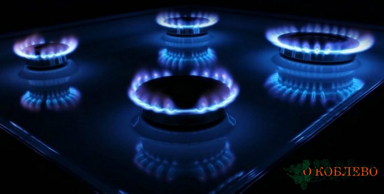 Цена на газ не будет превышать 6,99 грн за куб — Премьер-министр Украины