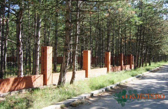 Николаевская прокуратура требует возврата государству земельных участков лесного фонда стоимостью более 1 млн грн