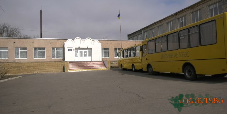 Коблевское УОСО закрывается на карантин до 12 марта: это связано со вспышкой ОРВИ (фото)