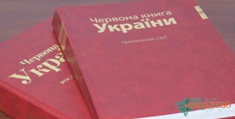 Минюст утвердил перечень животных, которые будут внесены в Красную книгу Украины