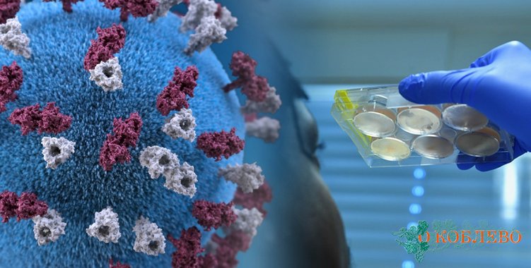 Больше 20 смертей и 355 новых инфицированных: какая ситуация с COVID-19 в Николаевской области