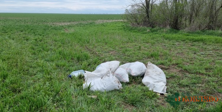 В Рыбаковке неизвестные выбросили в поле мешки с мусором (фото)