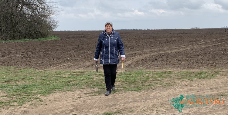 Как Вера Фесенко стала главным агрономом в ЧАО «Пограничник»