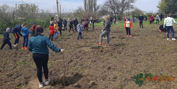 Ученики Украинского УОСО высадили 50 деревьев и 30 кустов роз у здания школы (фото)