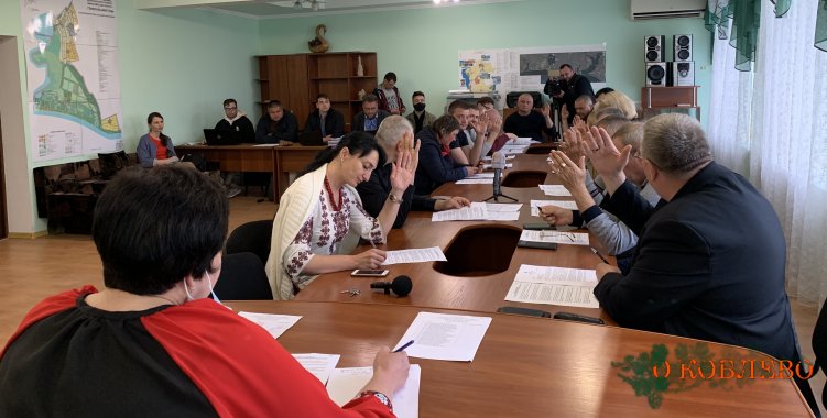 Сотрудничество громады с ДТЭК: что обсудили на внеочередной сессии Коблевского сельсовета (фото)