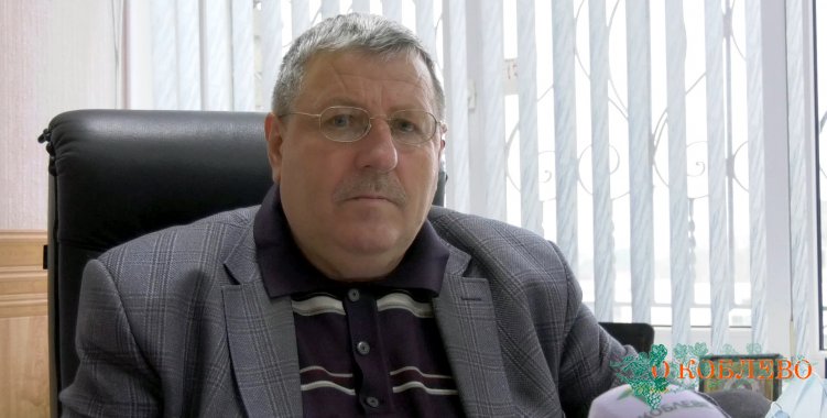 Владимир Панич, Коблевский сельский голова.