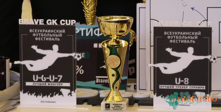 В Рыбаковке проходит футбольный турнир «BraveGk Cup» (фото)