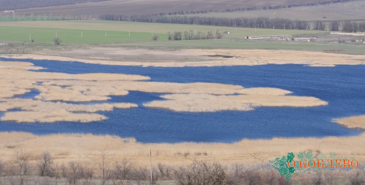 Тилигульский лиман — экологически чистый водоем Украины (фото)