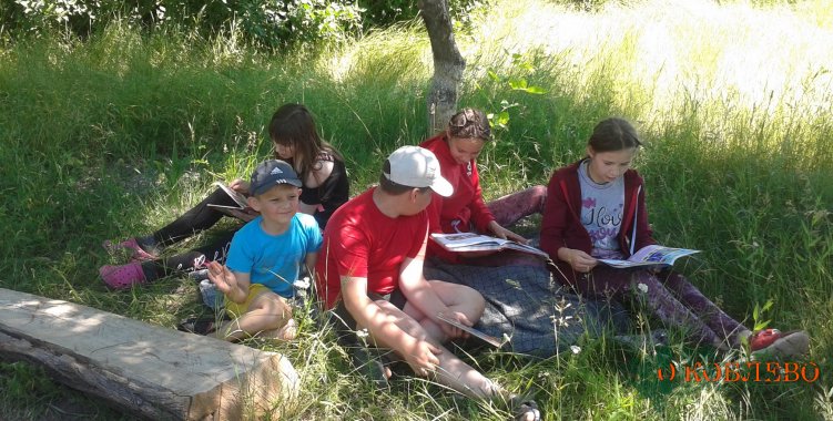 В местном парке села Новофедоровка состоялся «библиопикник» (фото)