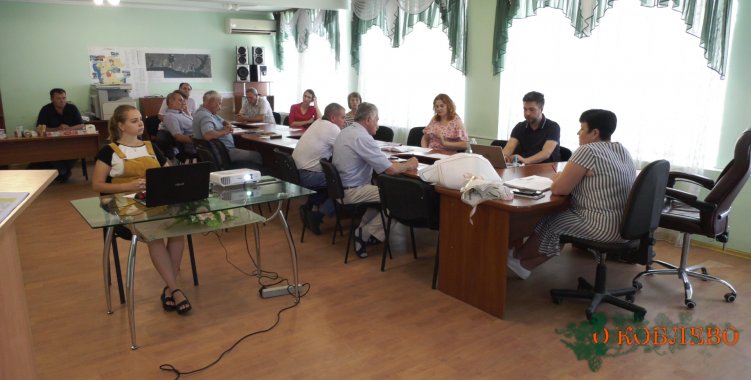 В Коблевском сельсовете обсудили реализацию социальных проектов совместно с ДТЭК (фото)