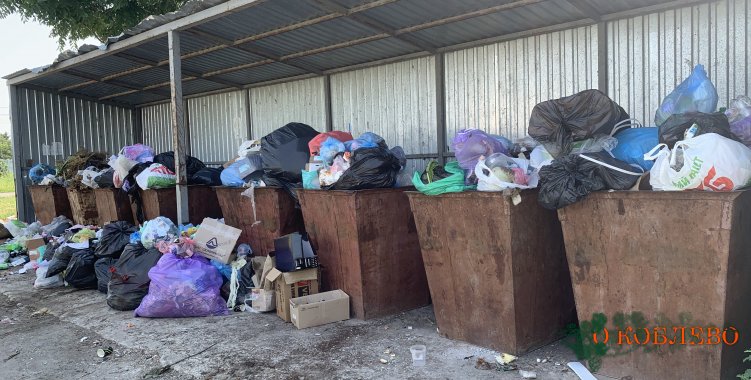 Жители Коблево жалуются на переполненные баки с мусором (фото)