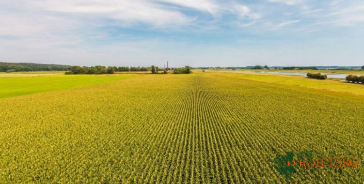 Земельная реформа в Украине: ключевые изменения в сфере землеустройства