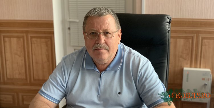 Владимир Панич, Коблевский сельский голова.