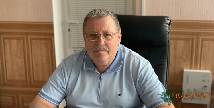 Владимир Панич, Коблевский сельский голова.