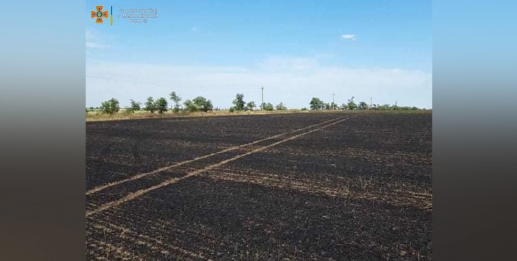 Возле села Анатольевка сгорело 10 га пшеничного поля