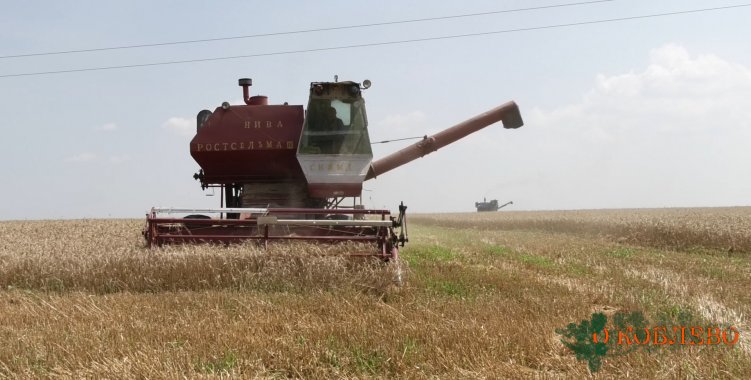 В Коблевской ОТГ завершилась уборка озимой пшеницы и ячменя (фото)