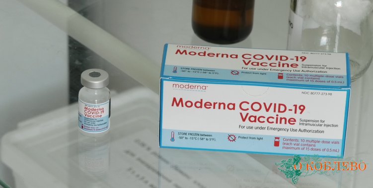 Вакцинация в Коблевской ОТГ: в громаду доставили 300 доз вакцины Moderna (фото)