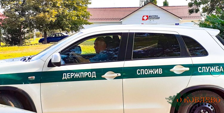 В Николаевской области проведут вакцинацию диких животных против бешенства