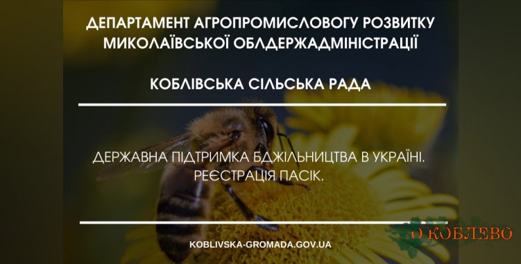 Как зарегистрировать пасеку и получить господдержку пчеловодам — информирует Коблевский сельсовет