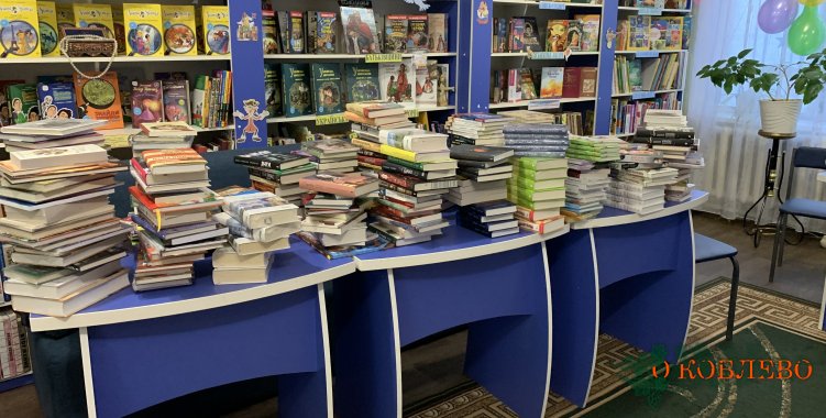 В Коблевскую центральную библиотеку поступило почти 500 новых книг (фото)