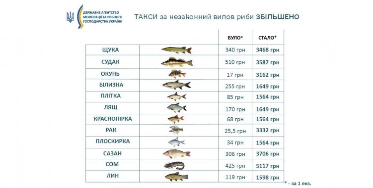 В правительстве Украины поддержали увеличение таксы на незаконный вылов рыбы
