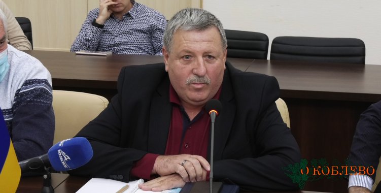 Владимир Панич, Коблевский сельский голова.