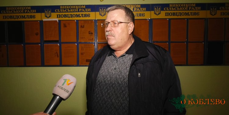 Владимир Панич, Коблевский сельский голова.
