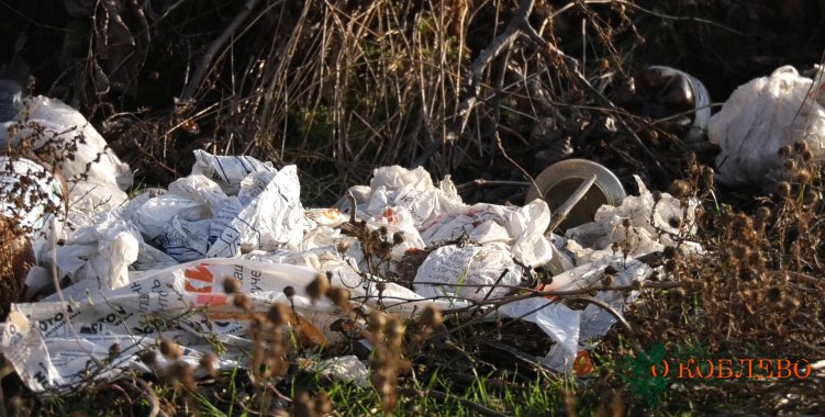 Проблема вывоза мусора и благоустройства стоит в Коблевской ОТГ очень остро (фото)