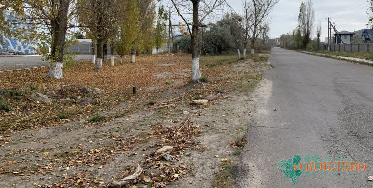 Начальник отдела благоустройства проверил качество уборки территории Коблево (фото)