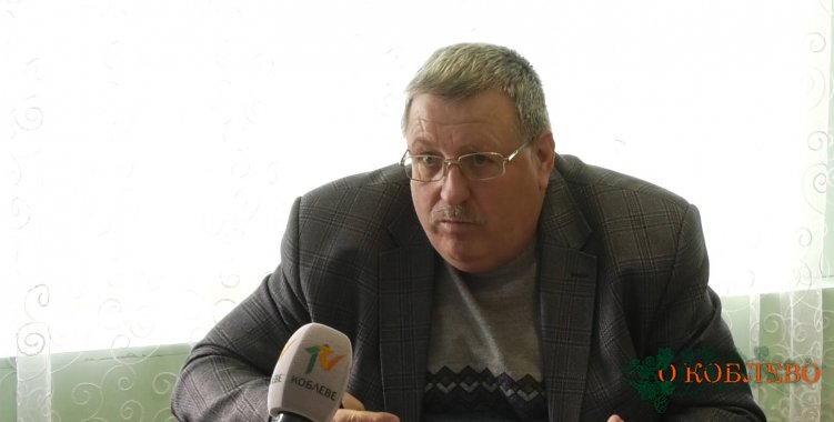 Владимир Панич, Коблевский сельский голова.