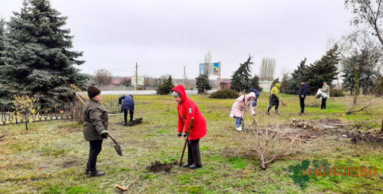 В Коблевской ОТГ высадят около 500 новых деревьев (фото)