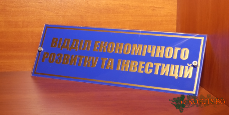 Сотрудники отдела экономического развития и инвестиций Коблевского сельсовета отчитались о работе за 2021 год (фото)