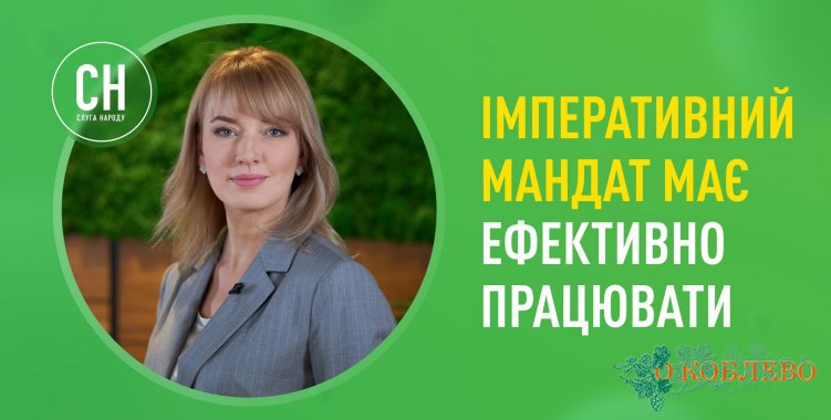 Елена Шуляк: «Императивный мандат не должен превратиться в механизм сведения счетов»