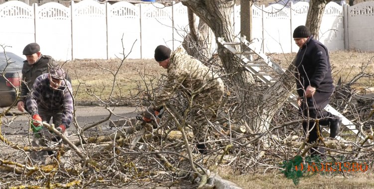 Общественники провели обрезку деревьев возле Коблевского УОСО (фото)