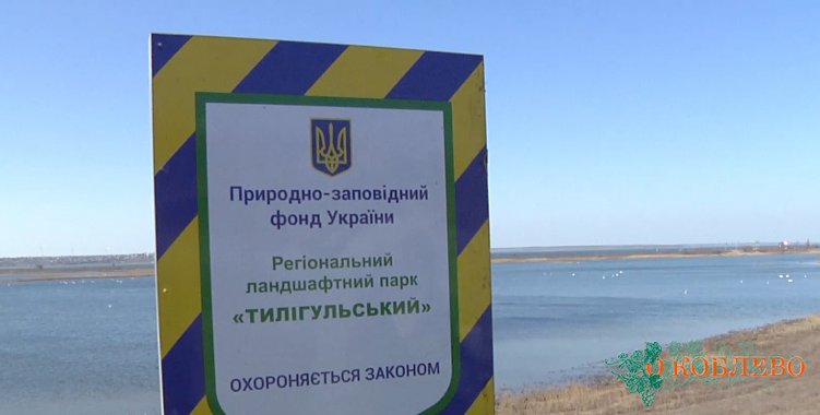 На водоемах Николаевской области действует трехмесячный запрет на вылов рыбы (фото)